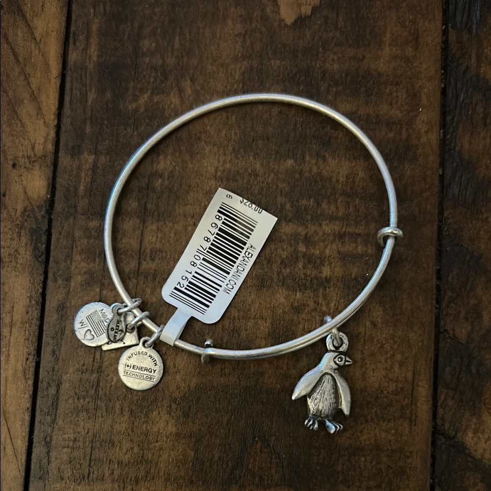 Alex and Ani Silver Penguin Charm Bangle